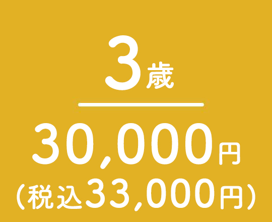 3歳